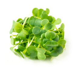 Broccoli sprouts on white background. Microgreen superfood, vegan and healthy eating concept.