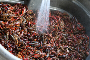 crawfish rinse