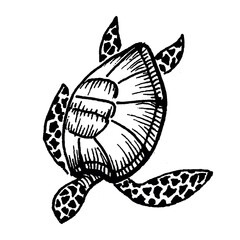 Set of big sea turtle cartoon cute animal design ocean tortoise swimming in water. Outline, line art hand drawn sketch vector illustration isolated on white background