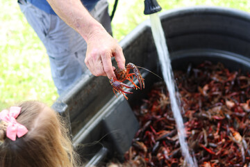 Holding a crawfish