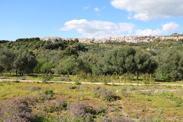 Fototapeta na wymiar View to Agrigento, Sicily Italy