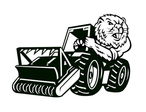 Mascot illustration of head of an angry North American beaver driving a mulching tractor viewed from front front on isolated white background in retro cartoon style.
