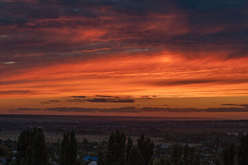 A blood-red sunset with the horizon in the distance. Large trees turn black against the background of a blood-red sunset.