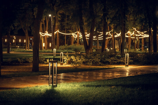Bright garlands of light bulbs, on trees in a night park. The night park is decorated with beautiful garlands that hang on trees.