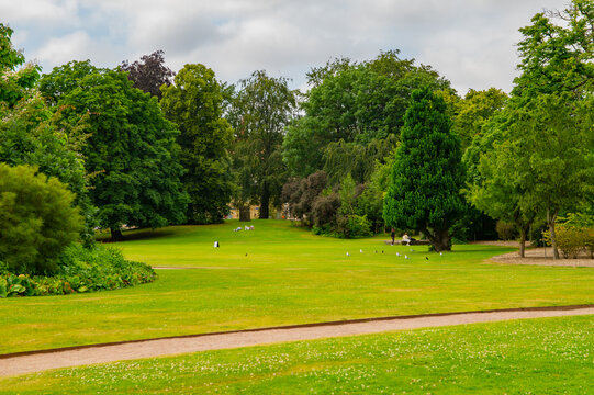 view of the Slottsskogen park in Gothenburg, Sweden on a sunny summers day.
