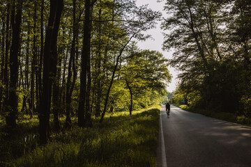 Road in the forest. Cyclist on the road.