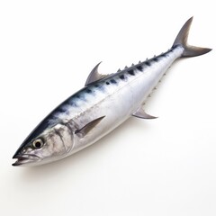 Fototapeta premium Kingfish King Mackerel fish isolated on white. Generative AI