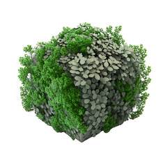Bush 3d illustration art on transparent background. Generative Ai.