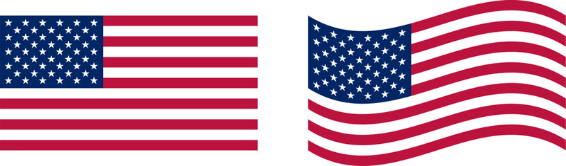 Obraz premium USA flag