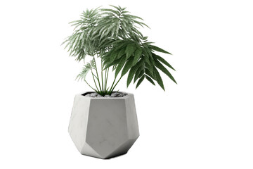 High plant in pot in 3d illustration art on transparent background. Generative Ai.
