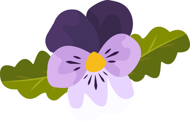 isolated summer violet flower head with purple petals png