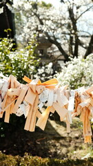 Omikuji, Japan, Traditional lucky paper from japanese temples.