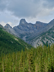 Fototapeta premium Vertical image of the Rocky and rugged mountains and the deep forests north of the Yukon River in Alaska