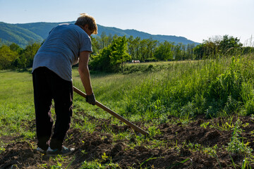 Female farmer weeding potato field with a hoe on a spring day in the countryside. Agricultural concept