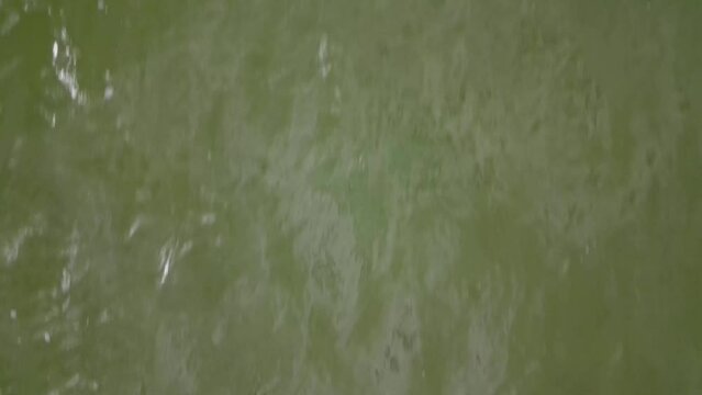 View of the water, ride over the water (top view)