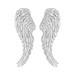 Vintage heraldic wing sketch. Doodle stylized bird wings. Hand drawn wing in open position. Angel wings sketch, Religious of Christianity hand drawn vector illustration