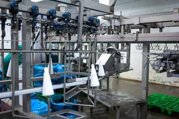 chicken farm industrial line equipment