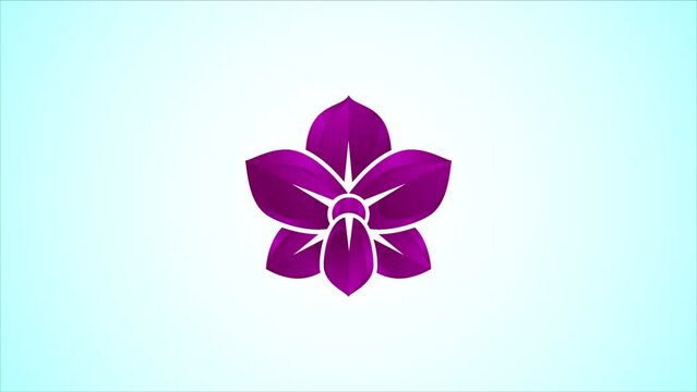 Colorful Orchid flower logo design template video animation