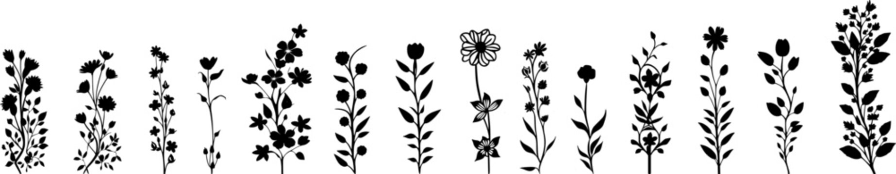 Natur Silhouetten: Vektor Set - Ranken mit Blumen, Pflanzen und Bl&auml;ttern