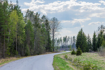Fototapeta na wymiar Beautiful view of road and spring green trees merging to blue sky on horizon. Sweden. 