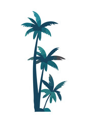 Obraz premium Summer tropical palm trees