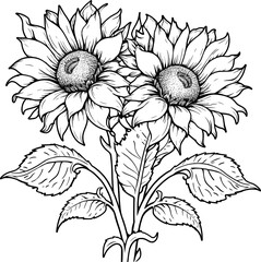 Two Sunflower Line Art