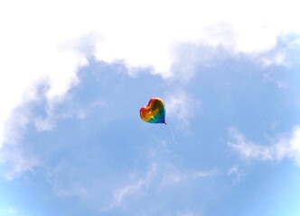 kite in the sky