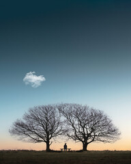 Fototapeta premium Hugging Trees