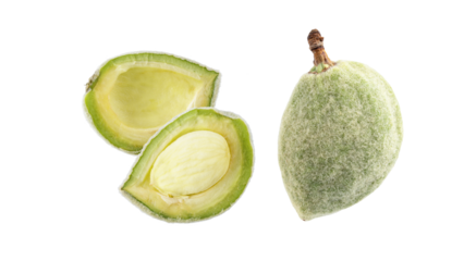 Shelled unripe fluffy green almond  with fresh kernel and whole fruit isolated on white background. Season harvest.
