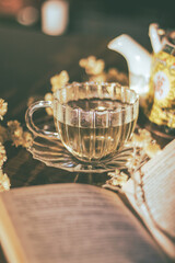 Charming cup of herbal tea next to Alice in Wonderland's book decorated with dry yellow flowers