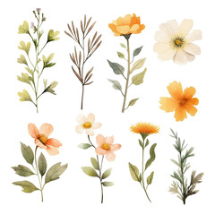 Fototapeta na wymiar Cute Watercolor Spring Flowers Clip Art on Isolated Background 