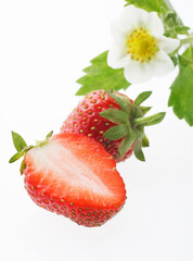 いちご　白バック　　かわいい