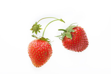 いちご　白バック　　かわいい