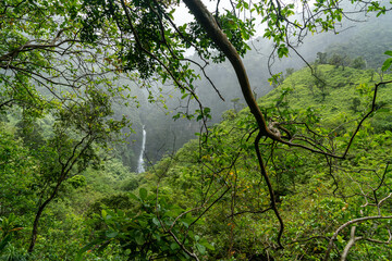Obraz na płótnie Canvas View of the Hanakapiai Falls in Hawaii, United States