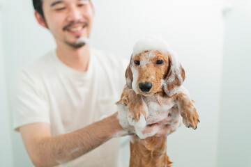 飼い犬を風呂に入れる男性