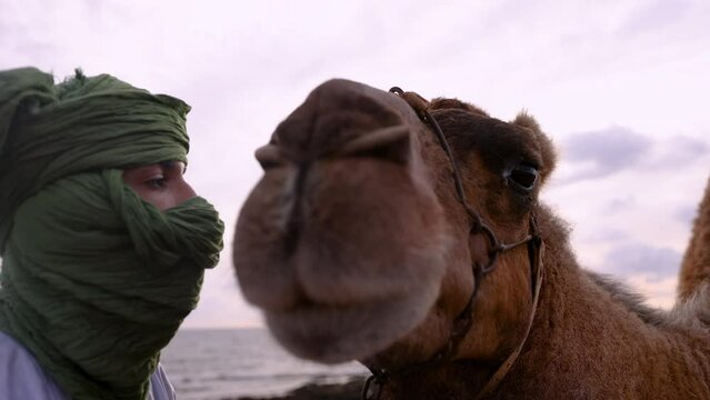 Sunrise male traditional dress resting dromedary camel Egypt