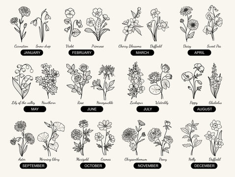 Premium Vector  Happy birthday, floral hand draw design concept, bouquet  of flowers and ribbon with text, vector