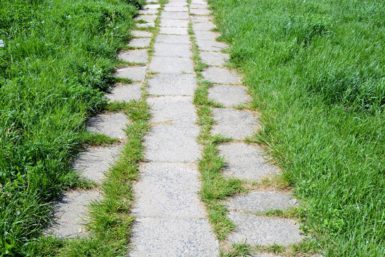 Road made of concrete slabs overgrown with grass