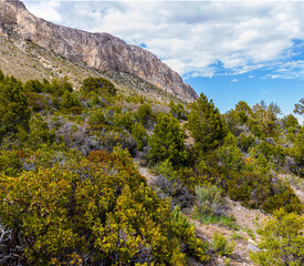 The Eagles Nest Loop and The Spring Mountains Range, Spring Mountains National Recreation Area, Nevada, USA