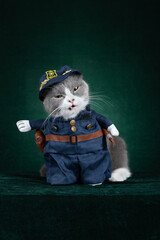 a british shorthair cat wears a policemen cosplay costume on green background vertical composition