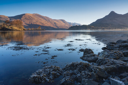 Frosted seaweed along the shore of Loch Leven, Lochaber, Scotland, United Kingdom, Europe