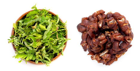 Young leaves with sour tamarind on white background.