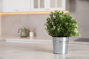 Artificial potted herb on white marble table in kitchen, space for text. Home decor