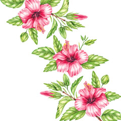 Watercolor red hibiscus branches background white background
