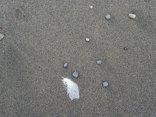 Feather and stones on a sandy beach on the Kenai Peninsula of Alaska