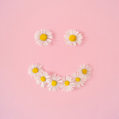 Fototapeta na wymiar Smiley made of summer daisy flowers on pastel pink background. Minimal creative composition. Flat lay concept. Top of view.