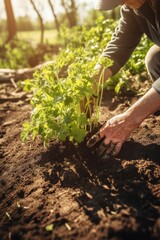 Planting vegetable seedlings in chernozem, a type of farmer growing seedlings in an open garden. Ecological farming, agribusiness and hobbies. farming business. generative ai