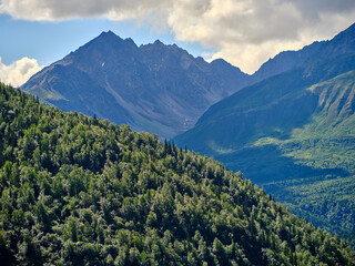 Rugged Mountain peaks and thick forests and valleys in Sutton Alaska near the Matanuska Glacier