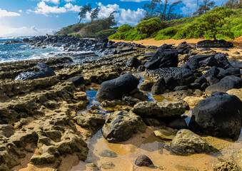 Exposed Coral Reef and Tide Pools at Nukolii Beach, Kauai, Hawaii, USA