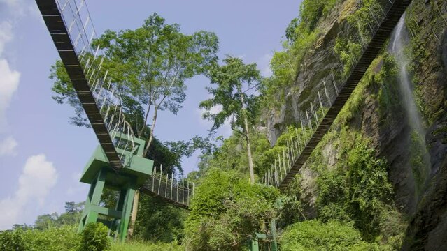 Beautiful panorama of a hanging bridge in the forest